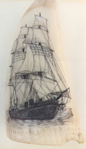 Scrimshaw By Mary assorted scrimshaws      using different mediums