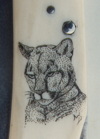 Scrimshaw By Mary scrimshaw of a mountain lion done      on ivory
